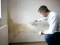 Mężczyzna w masce i rękawiczkach bada ślady pleśni na ścianie, wskazując na problem wilgoci.