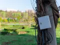 Podłączenie prądu do działki bez domu: szara skrzynka elektryczna na słupie oplecionym pnączami, z widokiem na park.