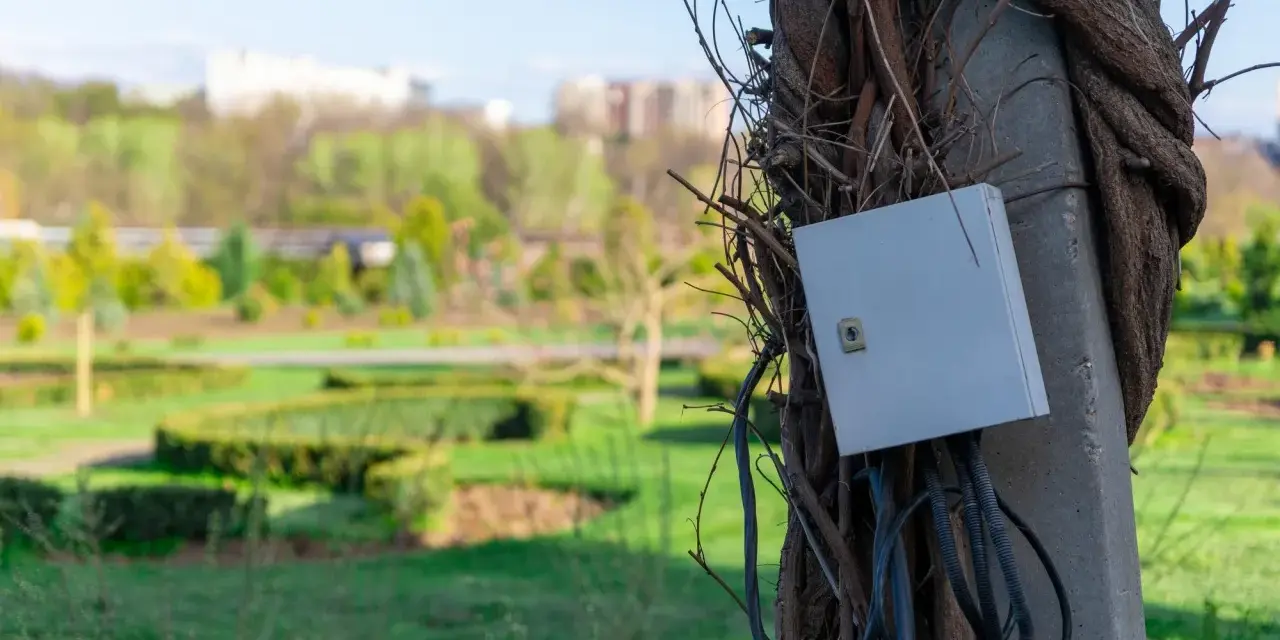 Podłączenie prądu do działki bez domu: szara skrzynka elektryczna na słupie oplecionym pnączami, z widokiem na park.