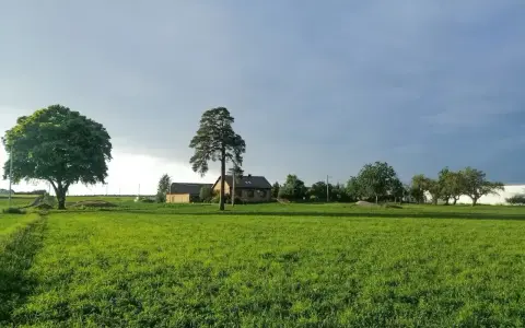 Zielona łąka, dom i drzewa. Zastanawiasz się, ile kosztuje przekształcenie działki rolnej na budowlaną 10 arów?