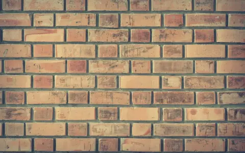 Ceglana ściana, idealna do budowy pieca. Zastanawiasz się, ile kosztuje cegła szamotowa?