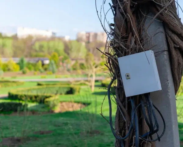Podłączenie prądu do działki bez domu: szara skrzynka elektryczna na słupie oplecionym pnączami, z widokiem na park.