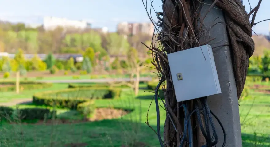Podłączenie prądu do działki bez domu: szara skrzynka elektryczna na słupie oplecionym pnączami, z widokiem na park.